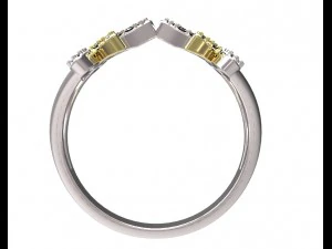 ring 77-1 3D Print Model