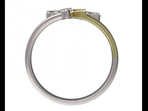 ring 77-2 3D Print Model
