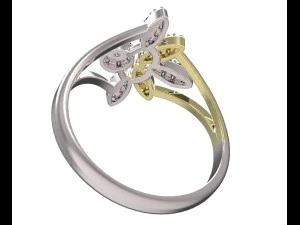 ring 77-2 3D Print Model
