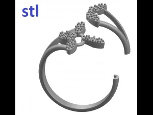 ring 77-2 3D Print Model