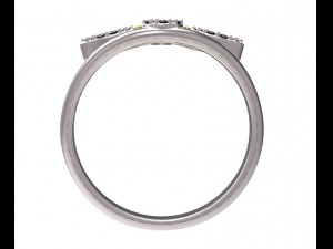 ring 77-3 Modello di stampa 3D