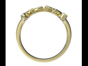 ring 78-1 3D Print Model