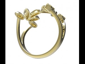 ring 78-1 Modello di stampa 3D