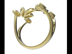 ring 78-1 3D Print Model