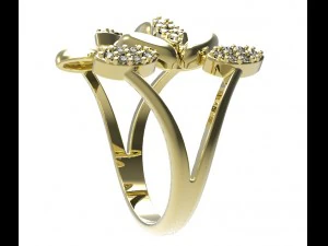 ring 78-1 3D Print Model