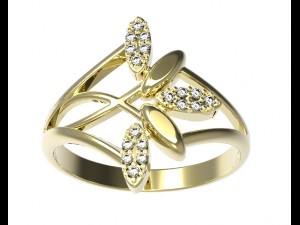 ring 78-2 3D Принт Модель