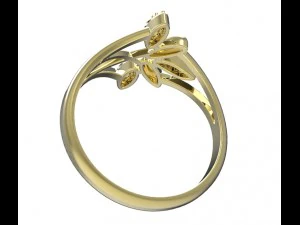 ring 78-2 3D Print Model