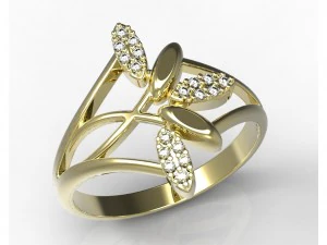 リング78-2 3Dプリントモデル