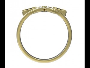 ring 78-3 Modelo de impresión 3D
