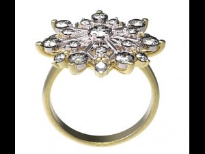 ring 79 Modelo de Impressão 3D