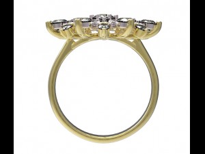 ring 79 Modelo de Impressão 3D