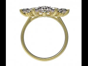 ring 79 3D Print Model