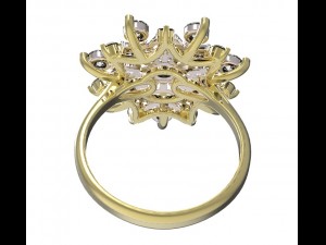 ring 79 Modelo de Impressão 3D