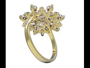 ring 79 Modelo de Impressão 3D
