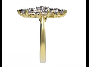 ring 79 Modelo de Impressão 3D