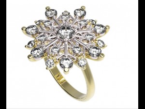 ring 79 Modelo de Impressão 3D
