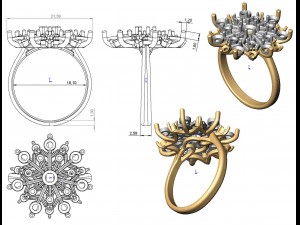 ring 79 Modelo de Impressão 3D