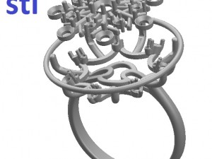 ring 79 Modelo de Impressão 3D