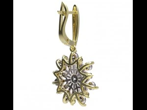 earrings 79-1 3D Print Model
