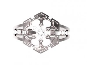 ring 80 3D Print Model