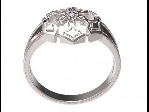 ring 80 Modelo de Impressão 3D