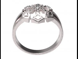 ring 80 3D Print Model