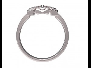 ring 80 Modelo de Impressão 3D