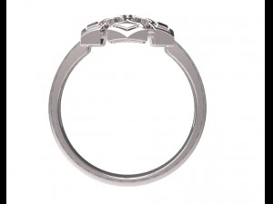 ring 80 3D Print Model