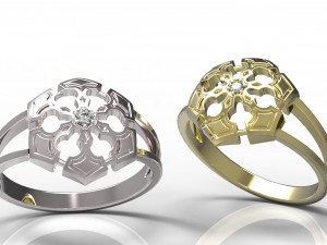 ring 80 3D Print Model