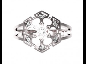 ring 81 Modelo de Impressão 3D