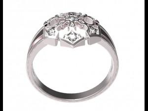 ring 81 Modelo de Impressão 3D