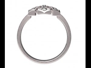 ring 81 3D Print Model