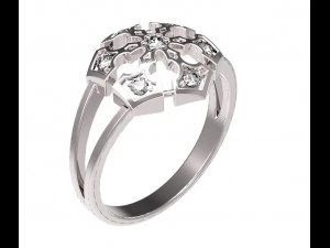 ring 81 3D Print Model