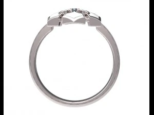 ring 82 3D Print Model