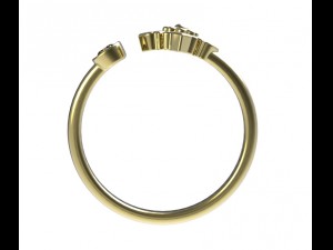 ring 88 3D Принт Модель