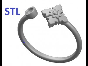 ring 88 3D Принт Модель