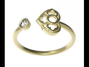 ring 89 3D Print Model