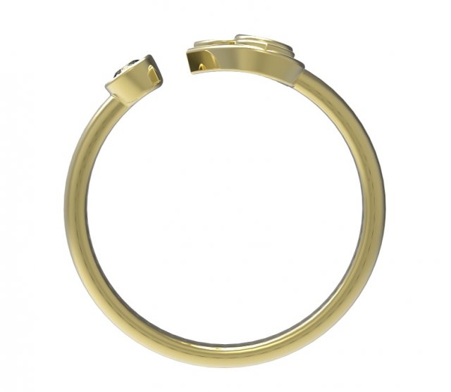 Download ring 89 3D Model