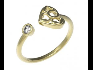 ring 89 3D Print Model