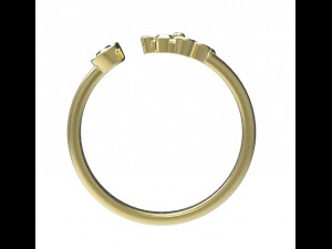 ring 91 3D-Druckmodell