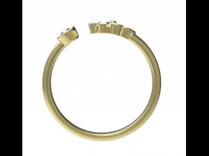 ring 91 3D Print Model