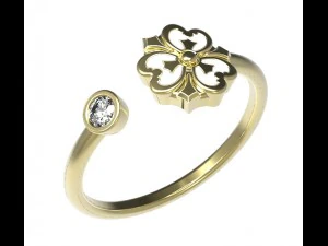 ring 91 3D Print Model