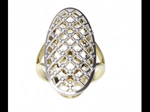 ring 93 3D Принт Модель