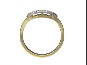 ring 93 3D Принт Модель