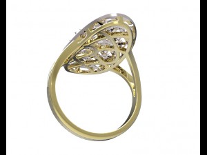 ring 93 3D Принт Модель