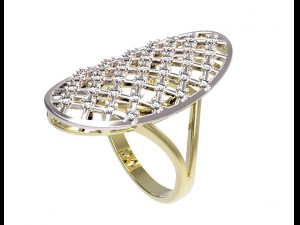 ring 93 3D Принт Модель