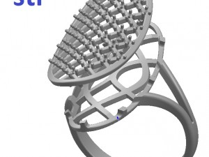 ring 93 3D Принт Модель