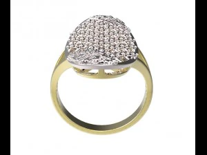 ring 94 3D Print Model