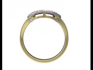 ring 94 3D प्रिंट मॉडल