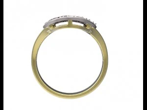 ring 94 3D Print Model